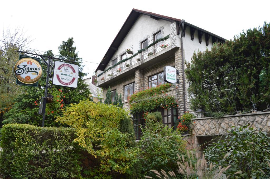 Muskatli Panzio Bed & Breakfast Gyor Bagian luar foto